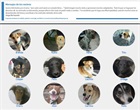 Red de adopción de mascotas
